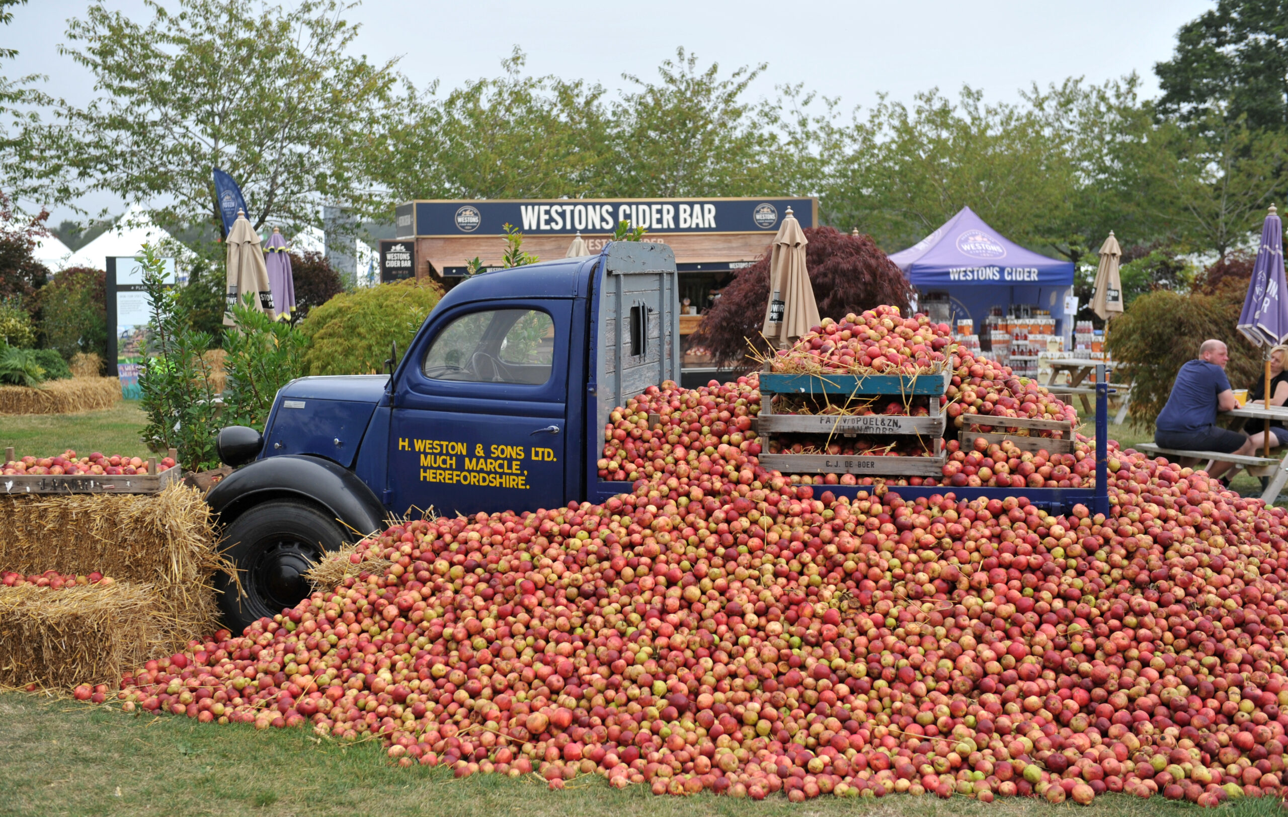Malvern Autumn Show is all set to be the UK’s biggest Harvest Festival